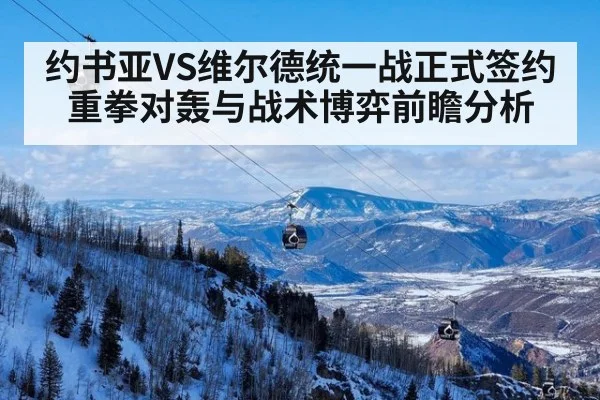 约书亚VS维尔德统一战正式签约重拳对轰与战术博弈前瞻分析
